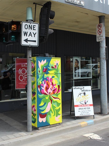 Anna Mykhalchuk - Waratah at the Sunrise