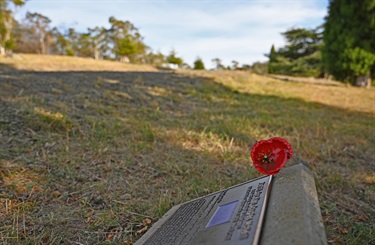Soldiers-Memorial-Avenue-4.jpg