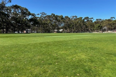 Mount Nelson Oval