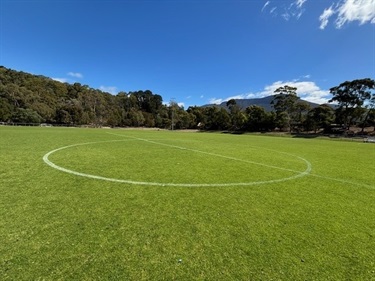 Wellesley Park Oval