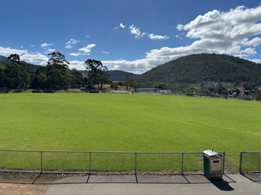 Wellesley Park Oval