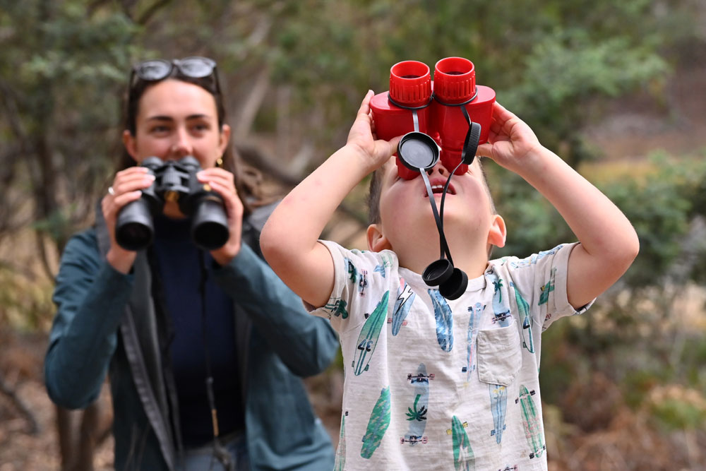 Mother and son bird watching through binoculars