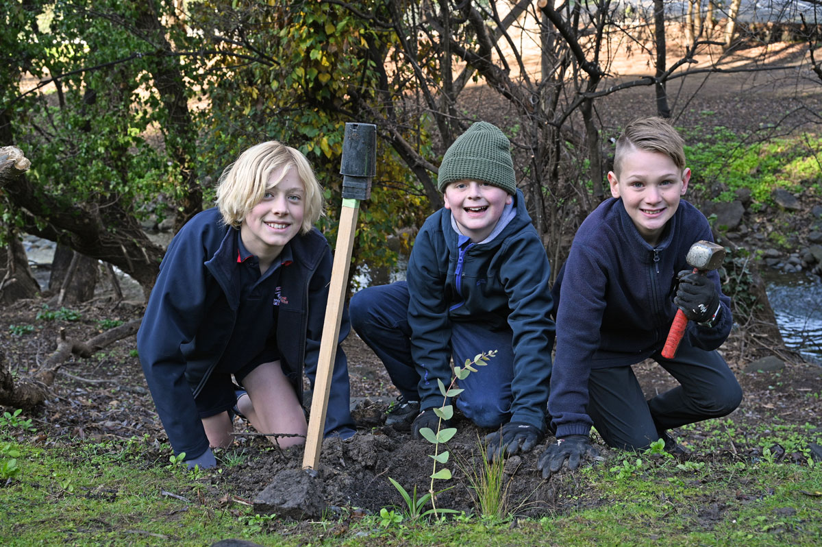 South Hobart Primary School students planting trees.