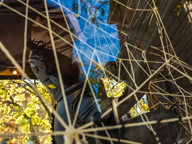 Matthew Stolp, Cascade Funnel-Web Vivarium, 2024