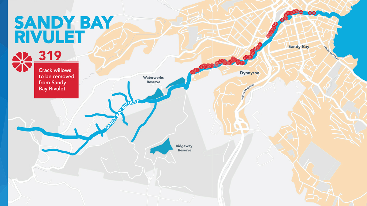 Map of willows to be removed from the Sandy Bay Rivulet