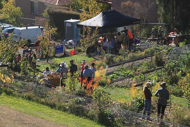 SoHo Community Garden