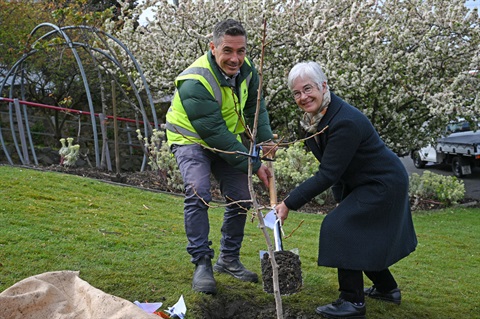 Hobart-Peace-Park-Hiroshima-survivor-tree-planting-JS1_7239.jpg