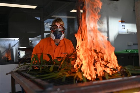 Plant flammability testing-JS1_2630.jpg