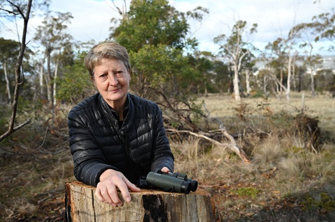 Wood hooking Sally Bryant.jpg