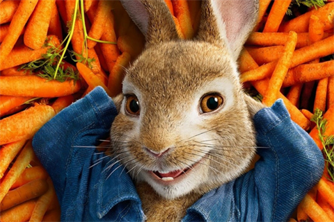 Peter Rabbit- WEB.png