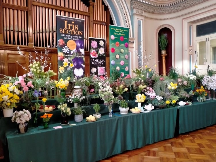 Floral Shows