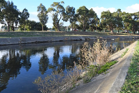 New-Town-Rivulet-Outlet-Crumbling-concrete-embankment-and-weeds-DSC_4248.jpg