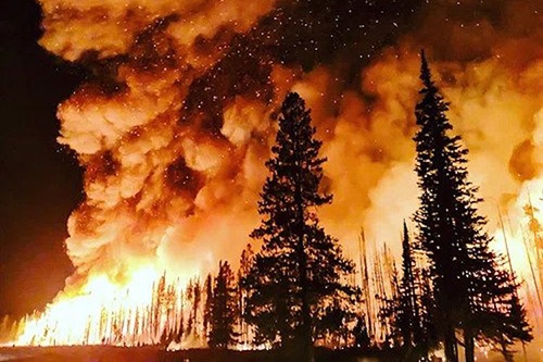 Wildfires.jpg