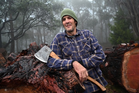 Giant-sequoias-EOI-Andrew-Evans-Constant-Whittler-JS1-DSC_0113.jpg